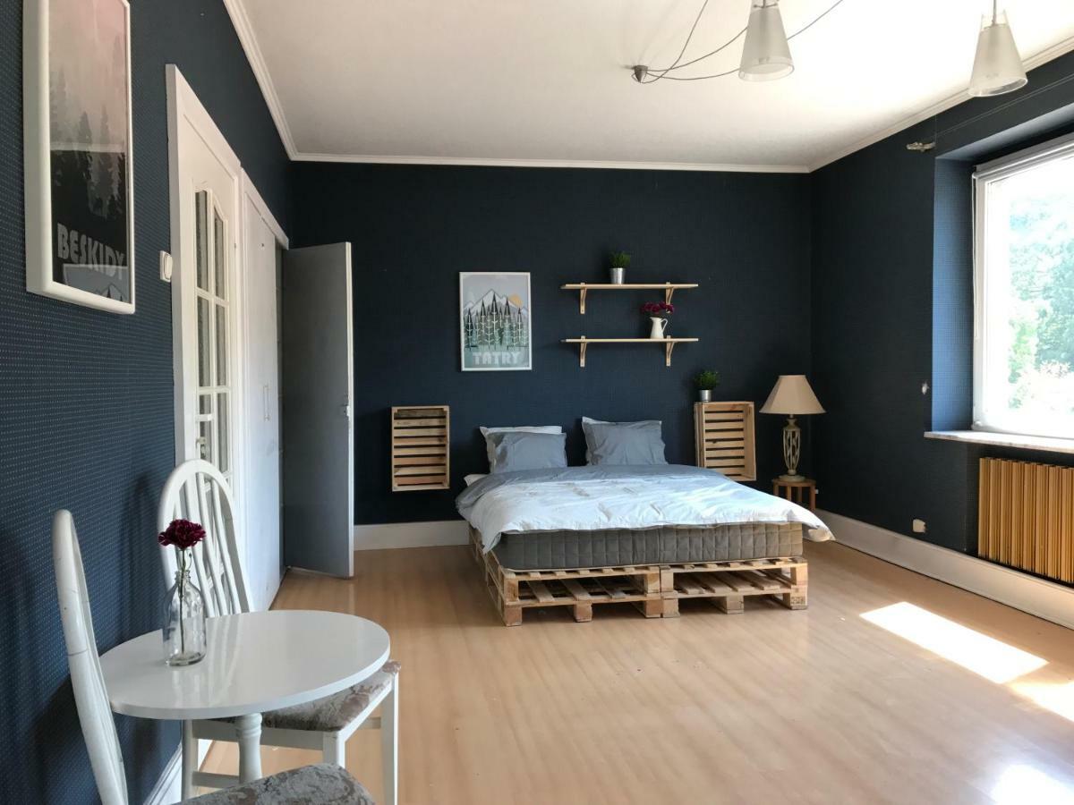 Apartament Przy Rynku Висла Экстерьер фото